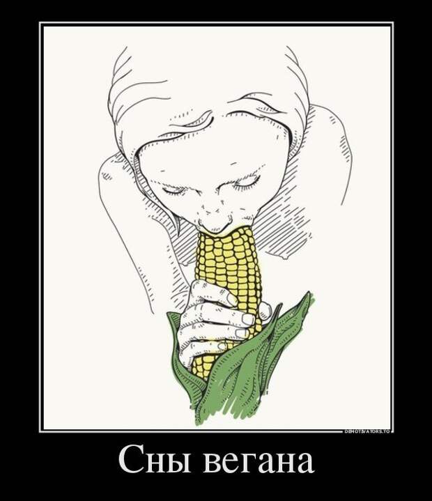 81584841-seks-u-veganov