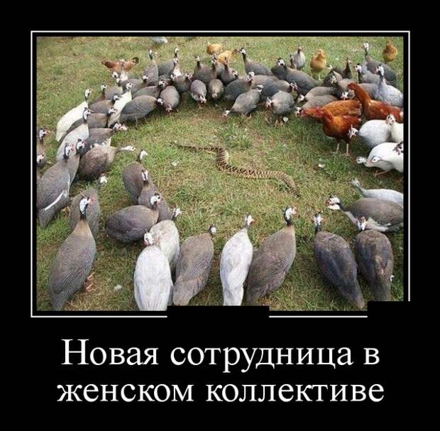 www.vsyako.net