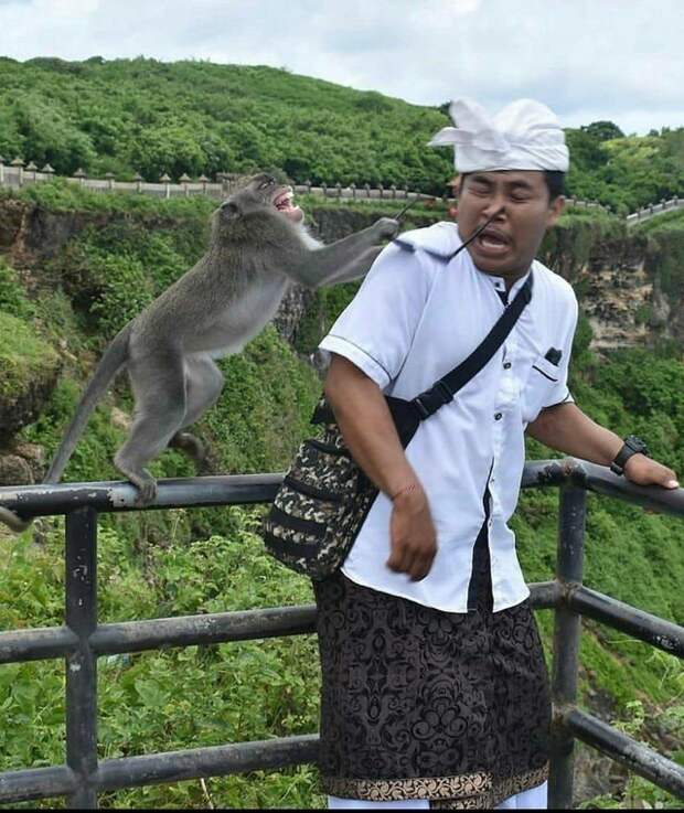 Снимки, сделанные в самый подходящий момент