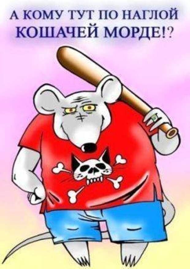Карикатуры на среду