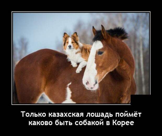 demotivatory-svezhie-demotivator-smeshnye-demotivatory-demotivator-so-smyslom
