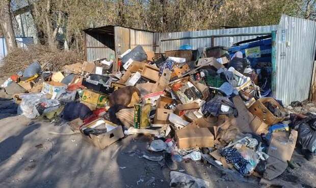 Жители Новосибирска пожаловались губернатору и мэру на мигрантов с рынка, разделывающих туши животных у здания школы