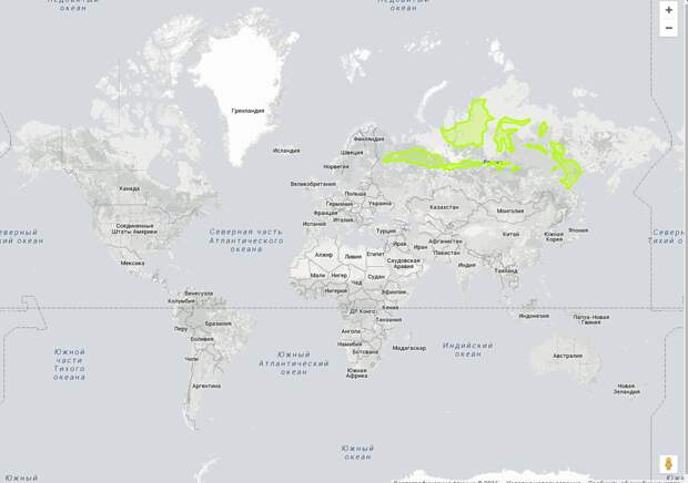 Вот так бы она выглядела, если бы была на тех же широтах, что и Россия Размеры, картография, карты, проекция, страны