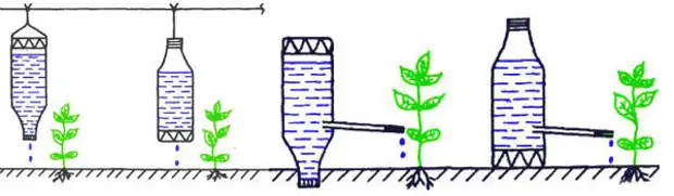 Полив помидор в теплице через пластиковые бутылки своими руками — преимущества и способы
