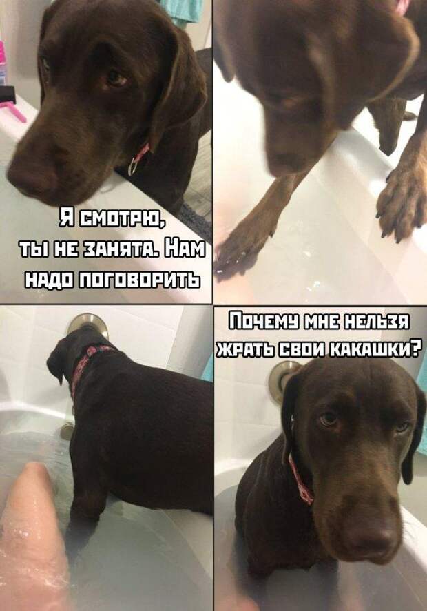 www.vsyako.net