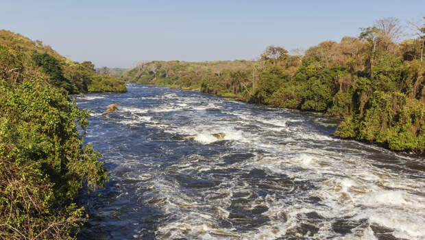 нильские пороги