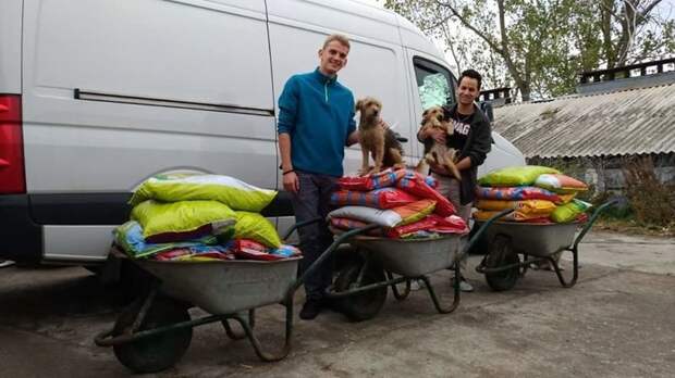 Румынский студент взял на довольствие 850 собак благородные поступки, благотворительность, животные, помощь животным, румыния, собаки, собачий приют, студент