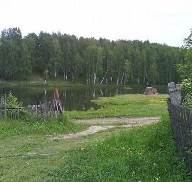 река пашенка. пашенка. композитный мост пашенка. река пашенка новосибирская. озеро пашенка новосибирск.
