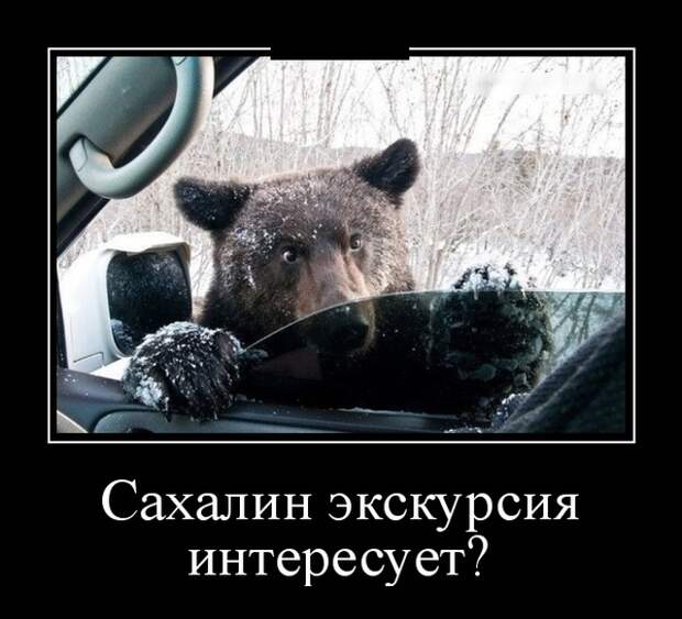 www.vsyako.net