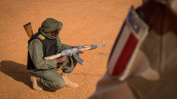 В Минобороны РФ сообщили о предотвращении попытки госпереворота в Мали