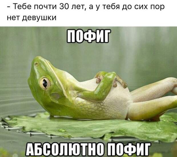 Приколы