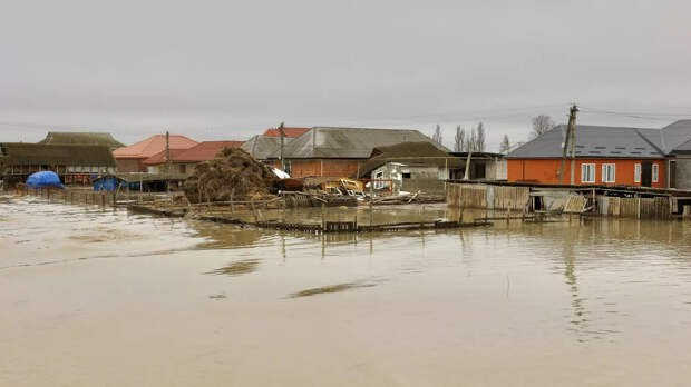 Ситуация в Дагестане: поручение Путина и другие события к этой минуте