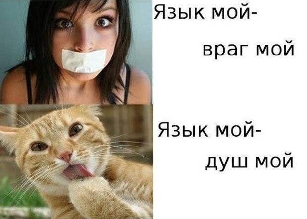 Смешные картинки с надписями прикол, юмор