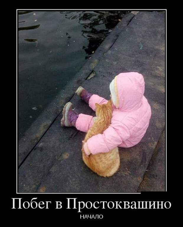Позитивные и смешные демотиваторы для хорошего настроения (11 фото)