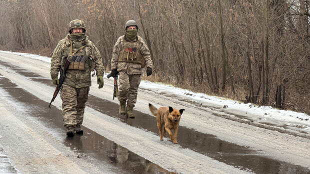 Киев собрался провести масштабную реформу системы призыва в ряды ВСУ