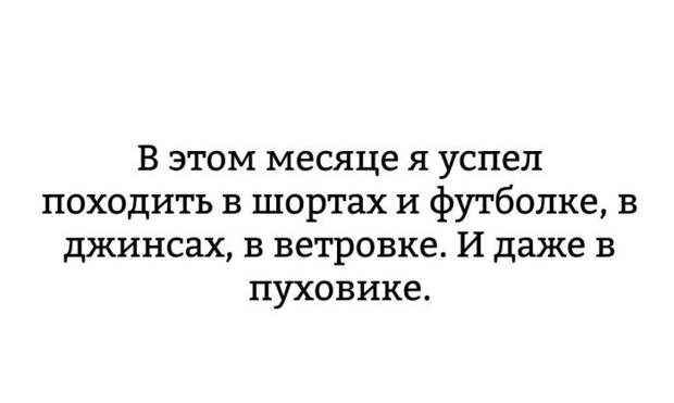 Веселые картинки с надписью для поднятия настроения Веселые картинки с надписью для поднятия настроения