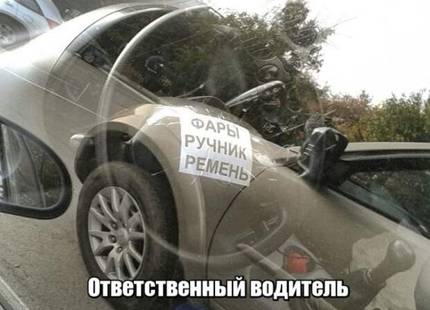 Подборка картинок