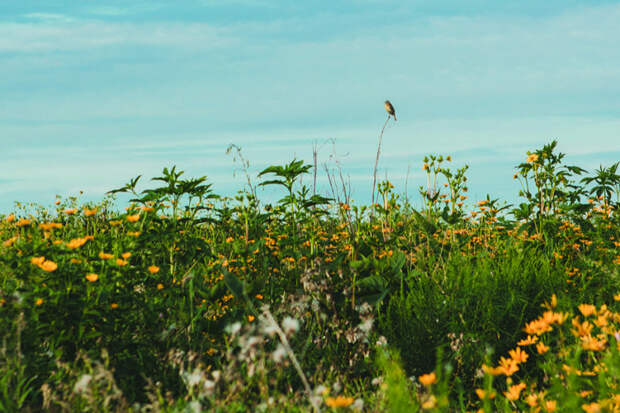 Фото: ПРЕСС-СЛУЖБА