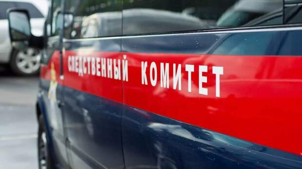 СК проверяет информацию об инциденте с девушкой-инвалидом в ТЦ / открытый источник