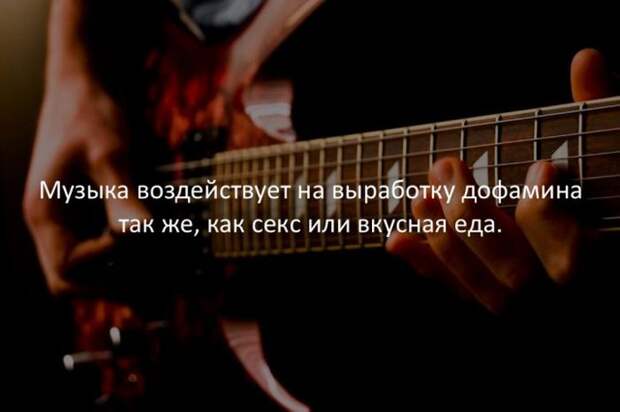 Интересные факты обо всем на свете