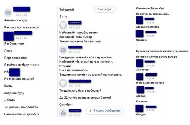 Скриншоты предоставлены "Центром спасения детей от киберпреступлений"