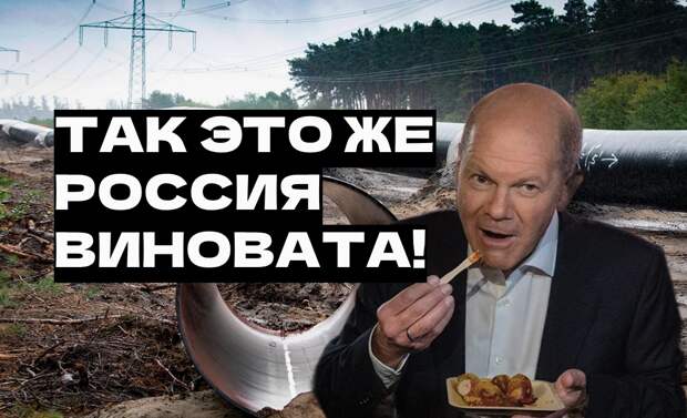 В Европе принято считать обязанностью России поставлять недорогие ресурсы для промышленности "цветущего сада" и газ играл важнейшую роль в этой снабженческой цепочке.