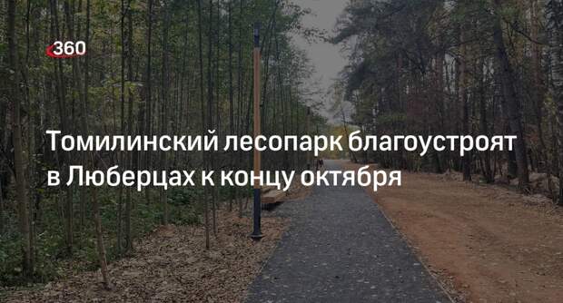 Томилинский лесопарк благоустроят в Люберцах к концу октября