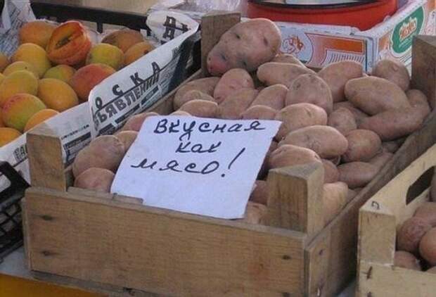 Картофельфест  картофель, прикол, юмор
