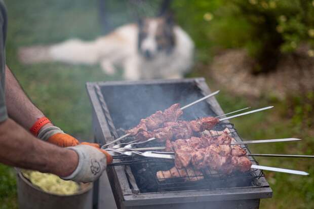 Эксперт Кузнецов назвал условия для штрафа за жарку шашлыков на даче