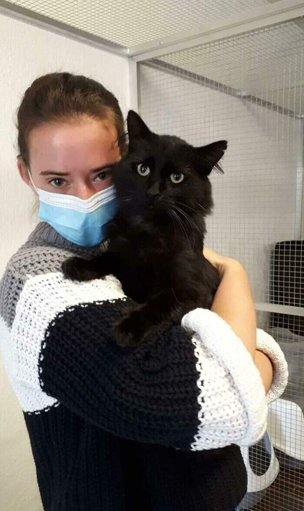 "Пошла в приют за маленьким котенком, а приютила этого красавчика. Это было лучшее решение!"