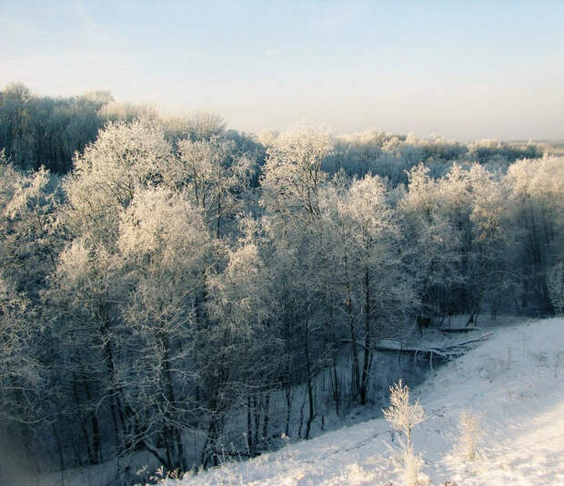 Ученые: На климат в ледниковый период повлияли вулканические извержения