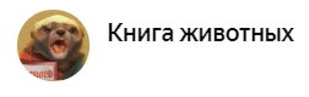 Выпустил черепашку — разрушил экосистему. К чему приводит безответственность хозяев рептилий?