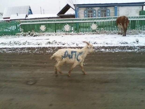 Давайте улыбаться вместе!