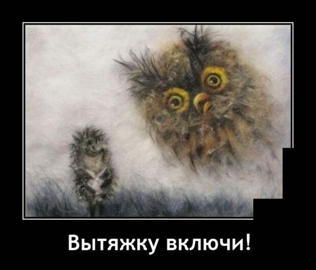 Демотиваторы 4 октября 2021 года