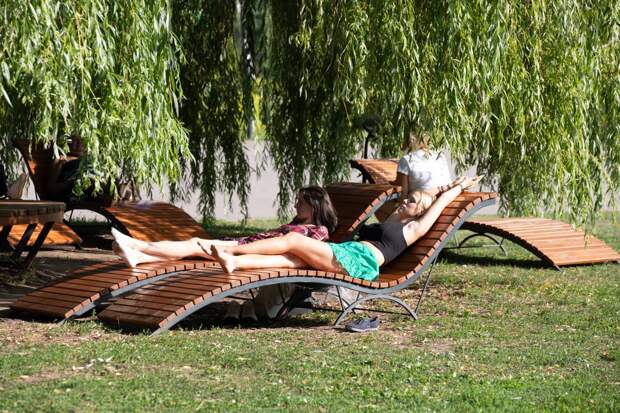 Ясно и +31: синоптики дали жаркий прогноз на последнюю неделю июля
