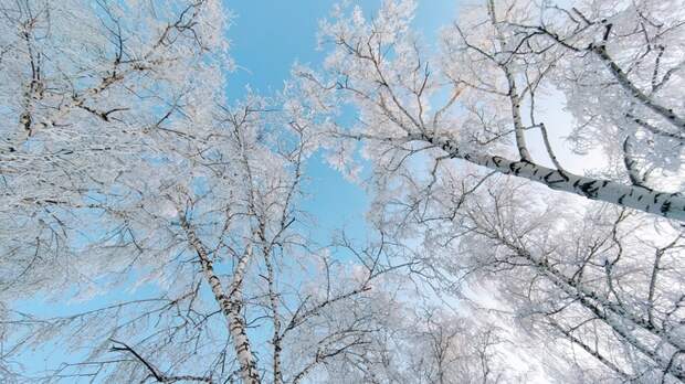 Когда по Алтайскому краю ударят жуткие морозы до -42 градусов и сколько они продлятся?
