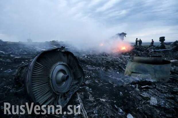 Boeing MH17: В Германии обсуждают нехарактерную для «Буков» взрывчатку, а также сокрытие данных спецслужбами США и Голландии | Русская весна