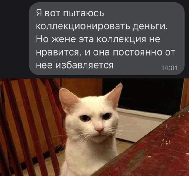 Коллекционировать деньги