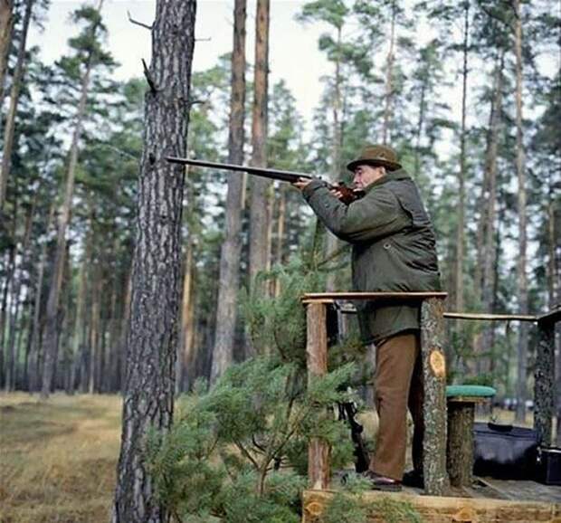Леонид Ильич, по рассказам егерей, любил охотиться с вышки