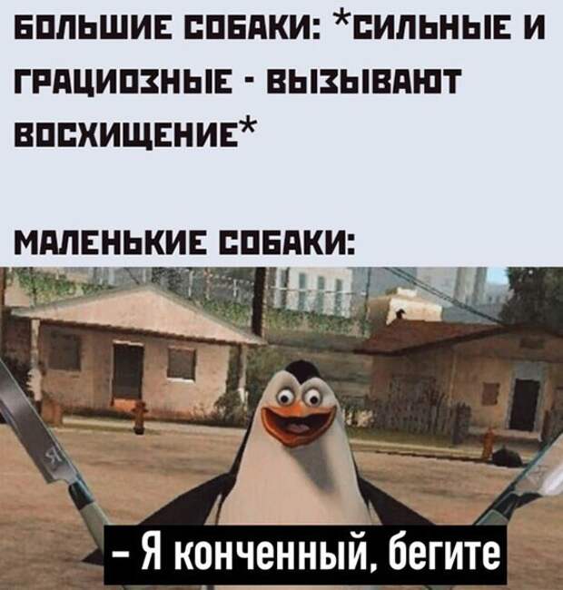 Бегите) Бегите)