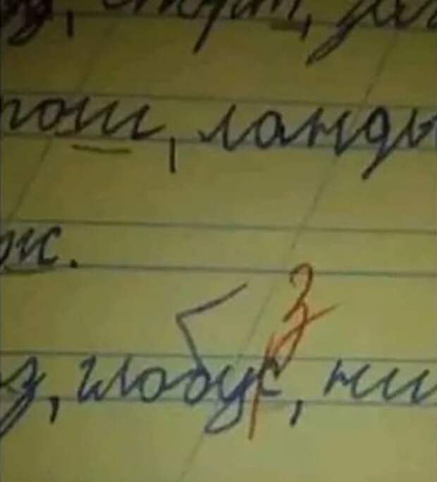 Новое поколение учителей уже вышло на работу Новое поколение учителей уже вышло на работу
