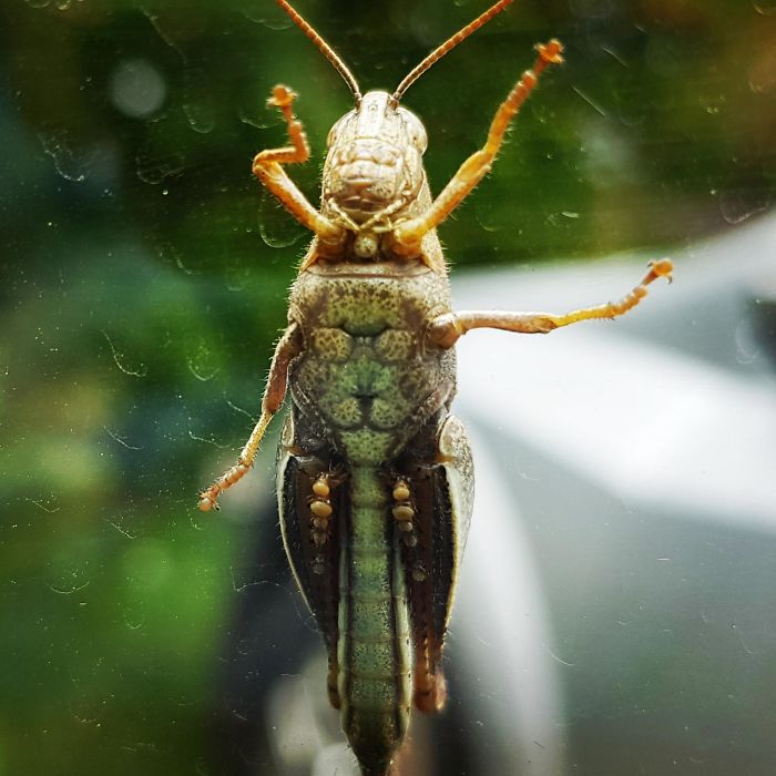 12 фото, на которых вы увидите лица, но их там нет