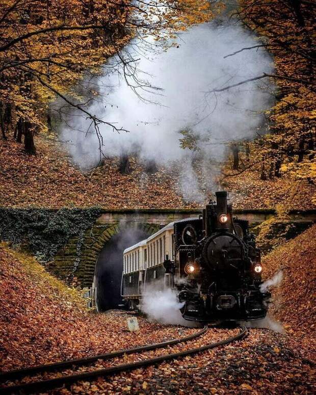 Похоже на двухпанельный комикс Похоже на двухпанельный комикс