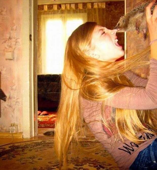 Животные, которые любят пошалить . ГИФ-ки и просто картинки. Животные, которые любят пошалить . ГИФ-ки и просто картинки.