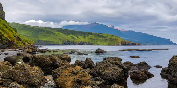 «Прояснить вопрос»: что сказал будущий премьер Японии о принадлежности Курильских островов