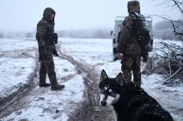 Минобороны РФ: в ходе СВО освобождены пять населенных пунктов за неделю