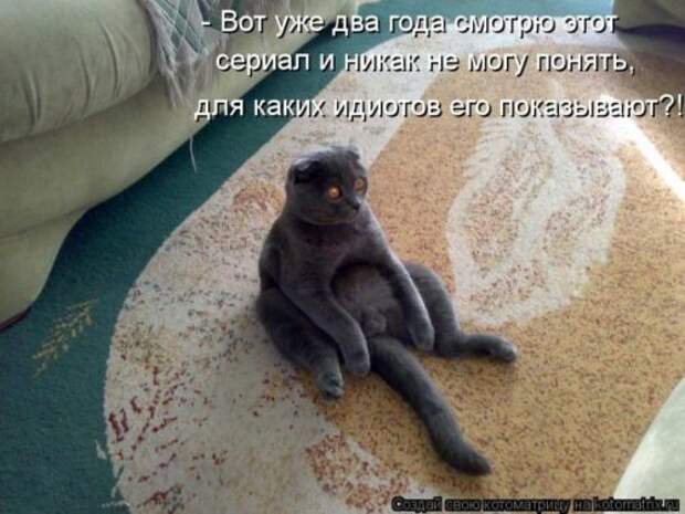 Сборник весёлых котоматриц (35 шт)