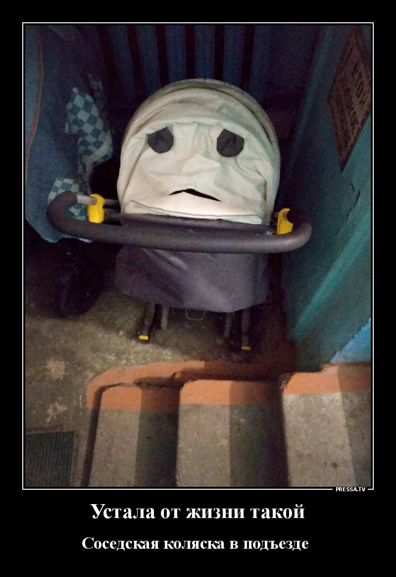 Демотиваторы