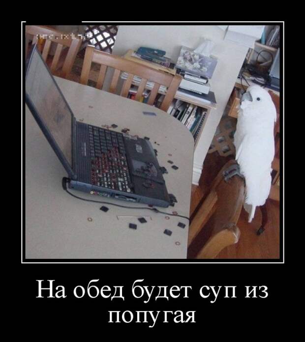 Демотиваторы