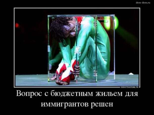 Немного новых демотиваторов